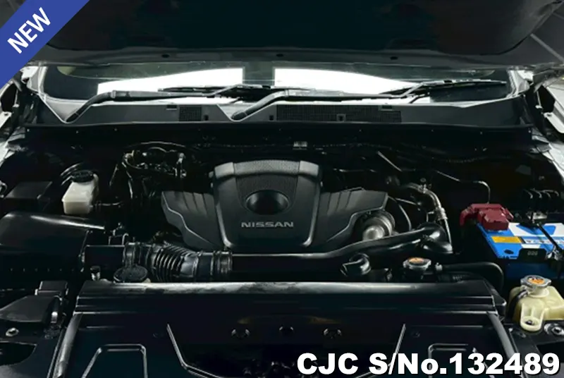 2020 Nissan / Navara Stock No. 132489