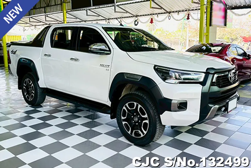 2023 Toyota / Hilux / Revo Stock No. 132499