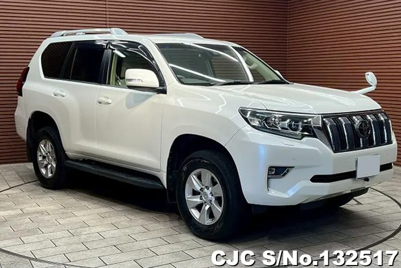 2018 Toyota / Land Cruiser Prado Stock No. 132517