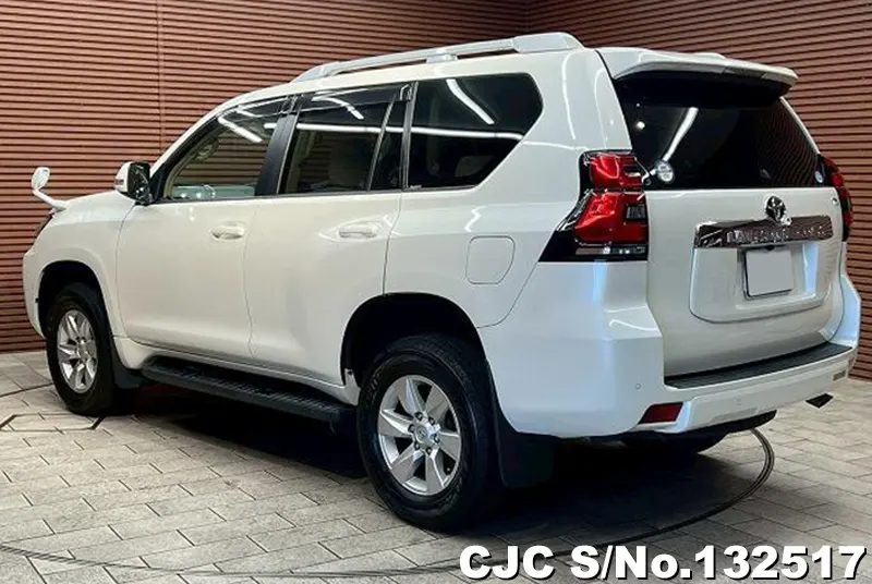 2018 Toyota / Land Cruiser Prado Stock No. 132517