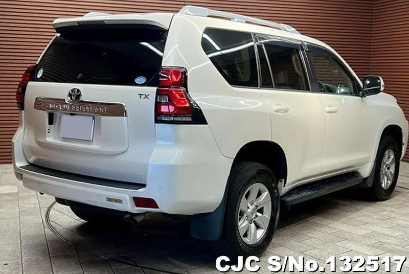 2018 Toyota / Land Cruiser Prado Stock No. 132517