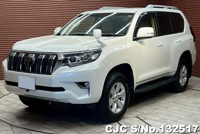 2018 Toyota / Land Cruiser Prado Stock No. 132517