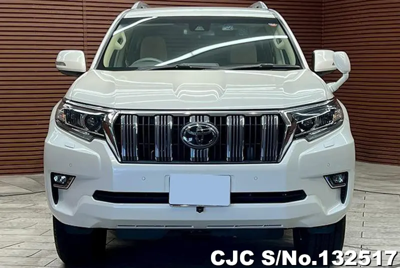 2018 Toyota / Land Cruiser Prado Stock No. 132517