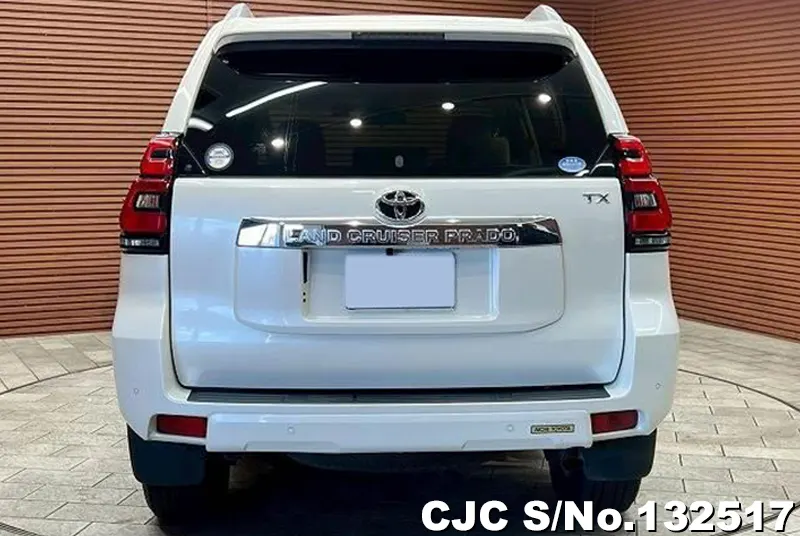 2018 Toyota / Land Cruiser Prado Stock No. 132517