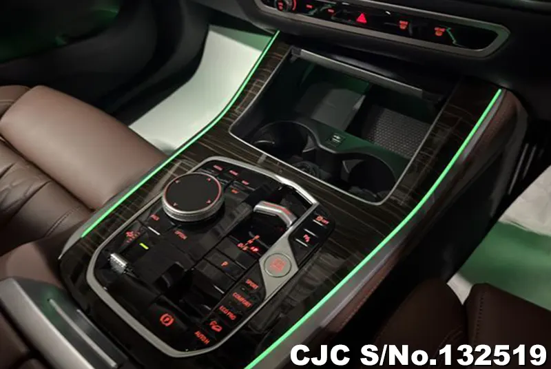 2024 BMW / X5 Stock No. 132519