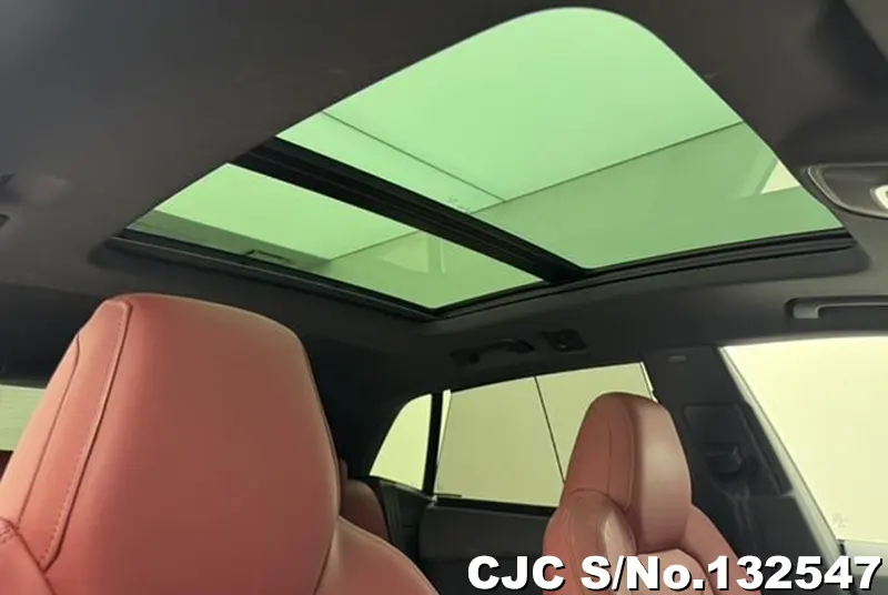 2024 Audi / SQ8 Stock No. 132547