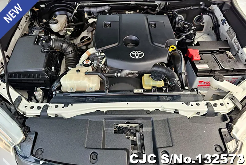 2019 Toyota / Hilux / Revo Rocco Stock No. 132573