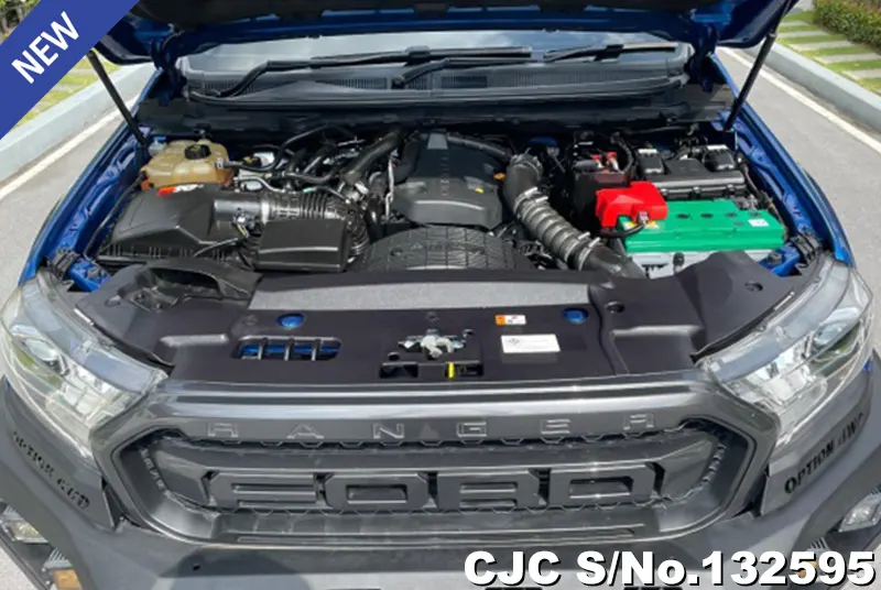 Ford Ranger in Blue for Sale Image 13