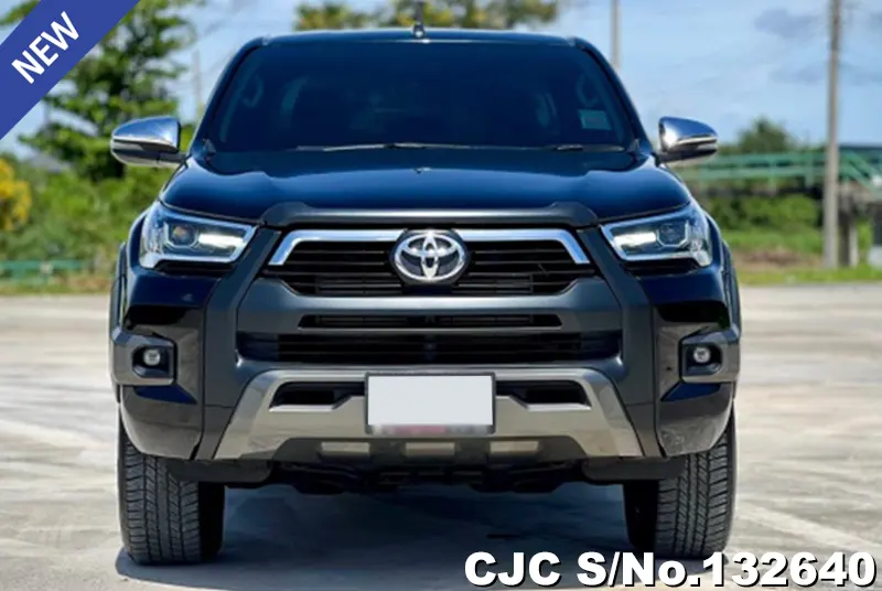 Toyota Hilux in Gray for Sale Image 4