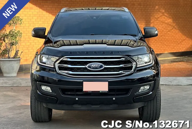 2020 Ford / Everest Stock No. 132671