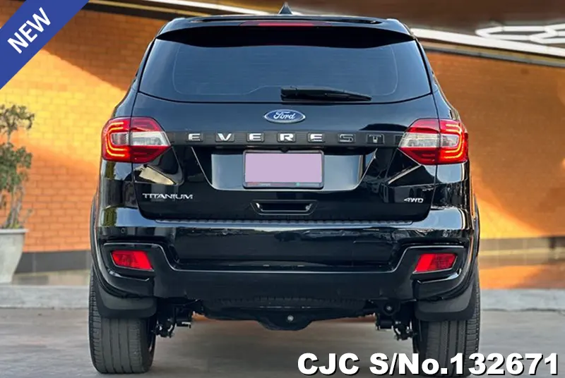 2020 Ford / Everest Stock No. 132671