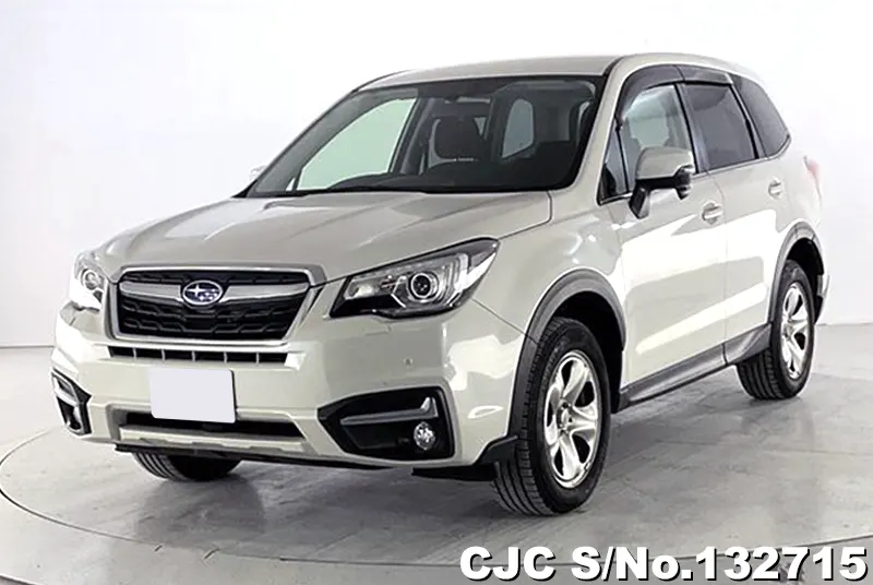 2018 Subaru / Forester Stock No. 132715