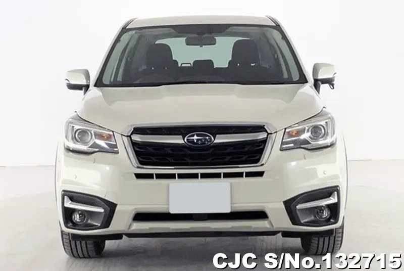 2018 Subaru / Forester Stock No. 132715
