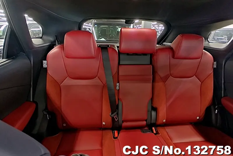 2025 Lexus / RX 350 Stock No. 132758