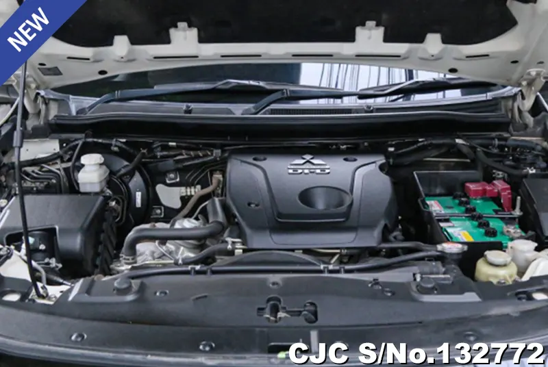 2020 Mitsubishi / Triton Stock No. 132772