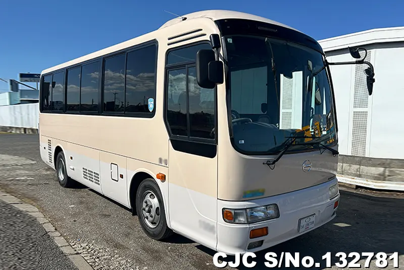 2011 Hino / Liesse Stock No. 132781