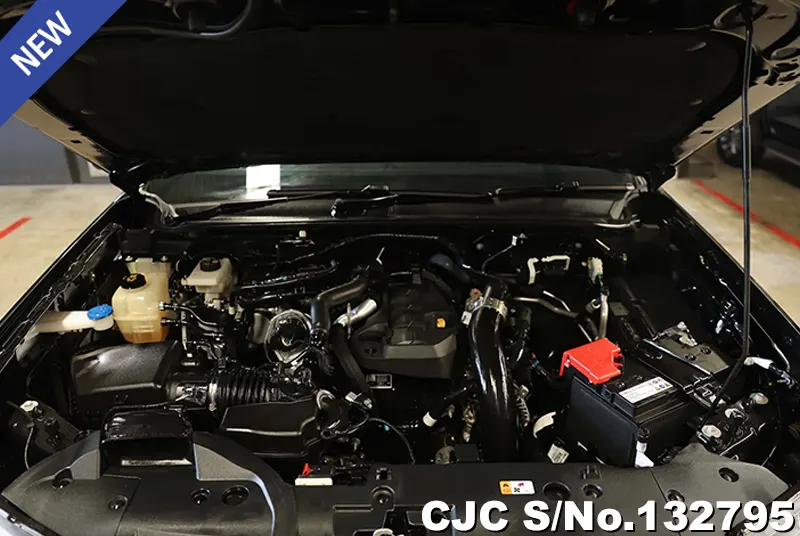 2023 Ford / Ranger Stock No. 132795