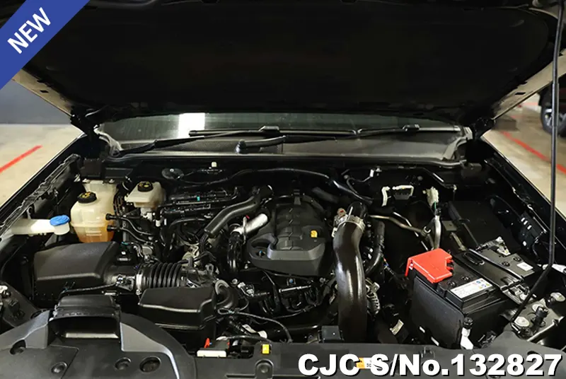 Ford Ranger in Black for Sale Image 13