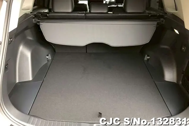 2026 Toyota / Rav4 Stock No. 132831