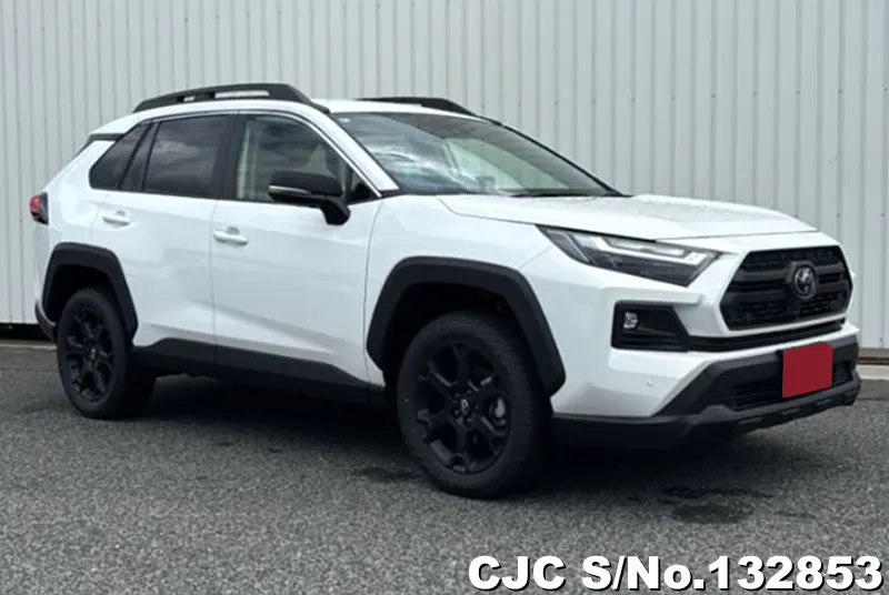 2025 Toyota / Rav4 Stock No. 132853