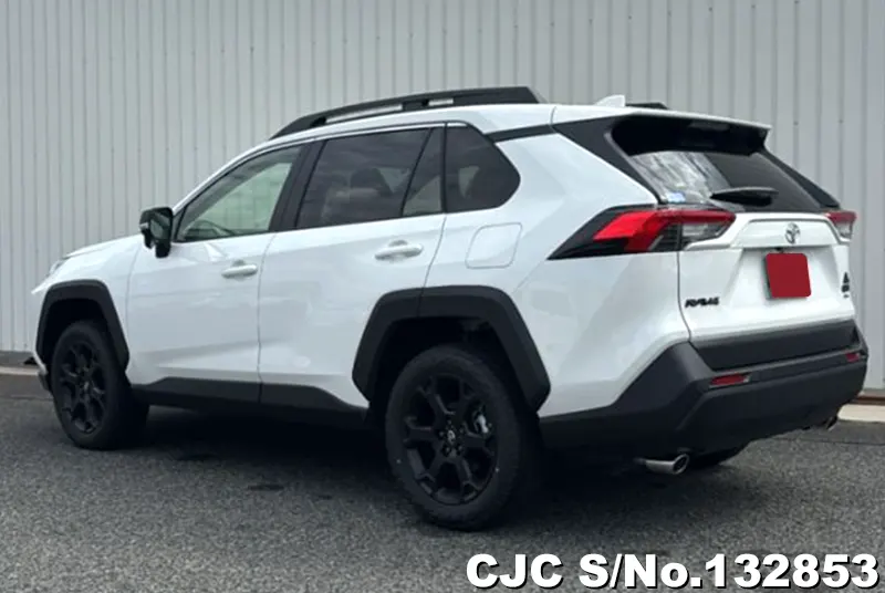 2025 Toyota / Rav4 Stock No. 132853