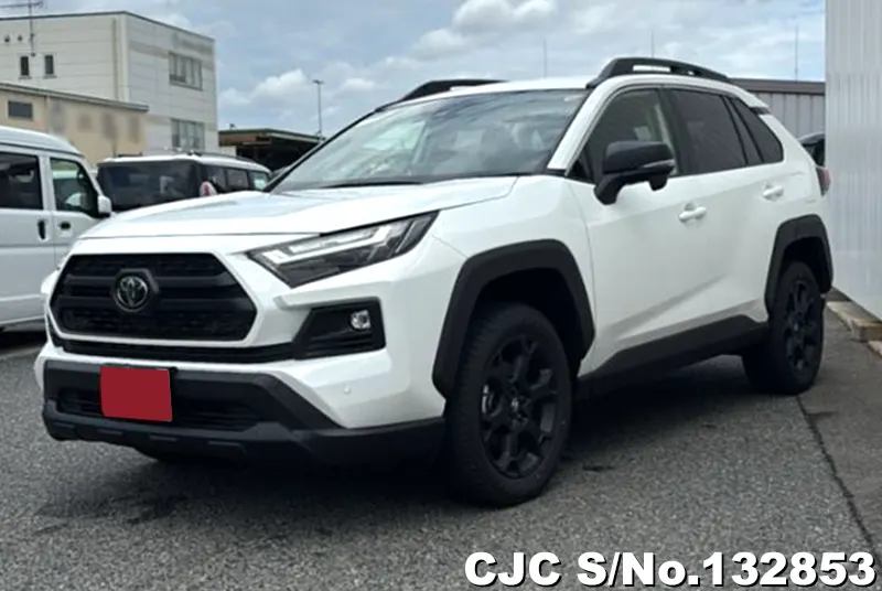 2025 Toyota / Rav4 Stock No. 132853