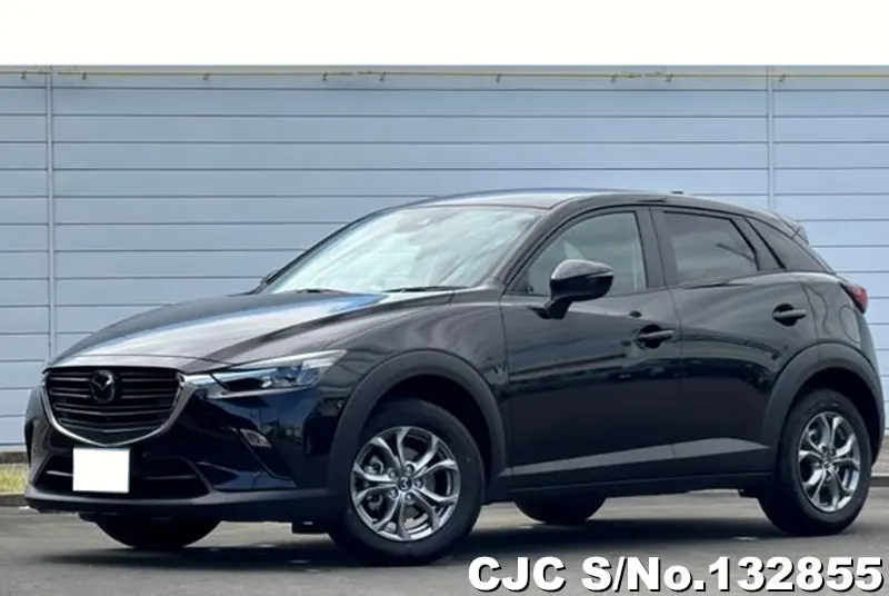 2024 Mazda / CX-3 Stock No. 132855