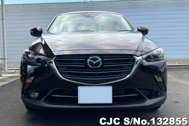 2024 Mazda / CX-3 Stock No. 132855