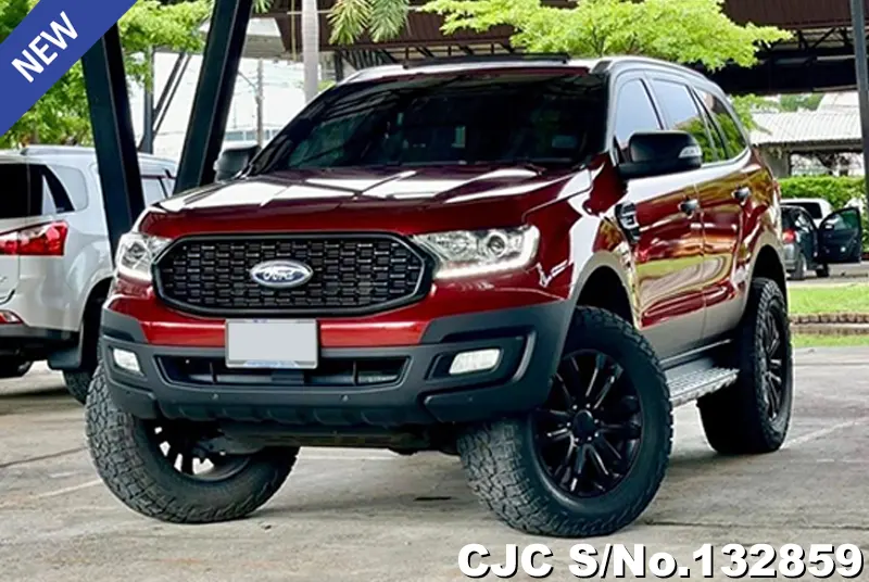 2019 Ford / Everest Stock No. 132859