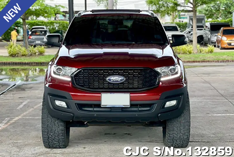 2019 Ford / Everest Stock No. 132859