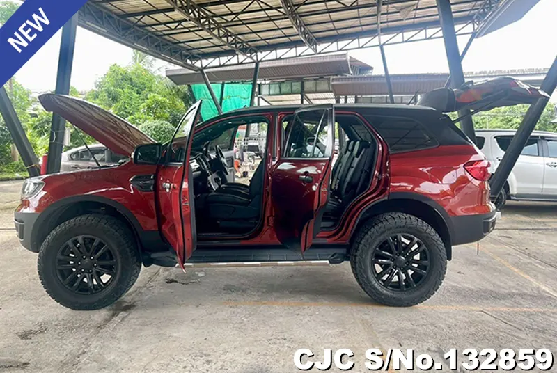 2019 Ford / Everest Stock No. 132859