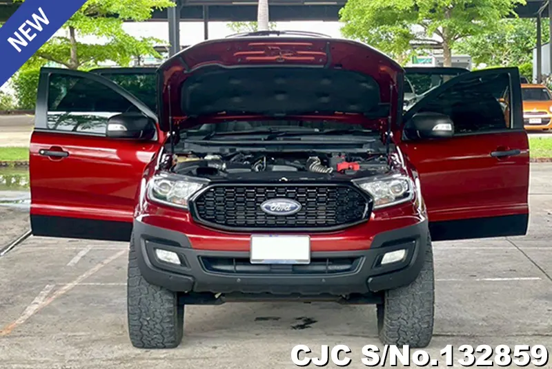 2019 Ford / Everest Stock No. 132859