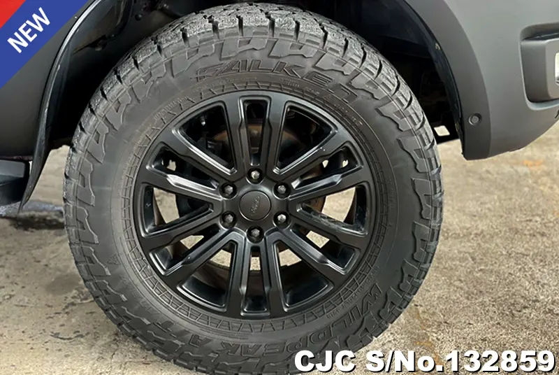 2019 Ford / Everest Stock No. 132859
