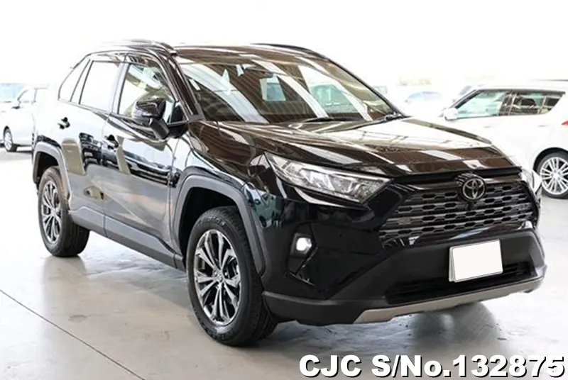 2025 Toyota / Rav4 Stock No. 132875