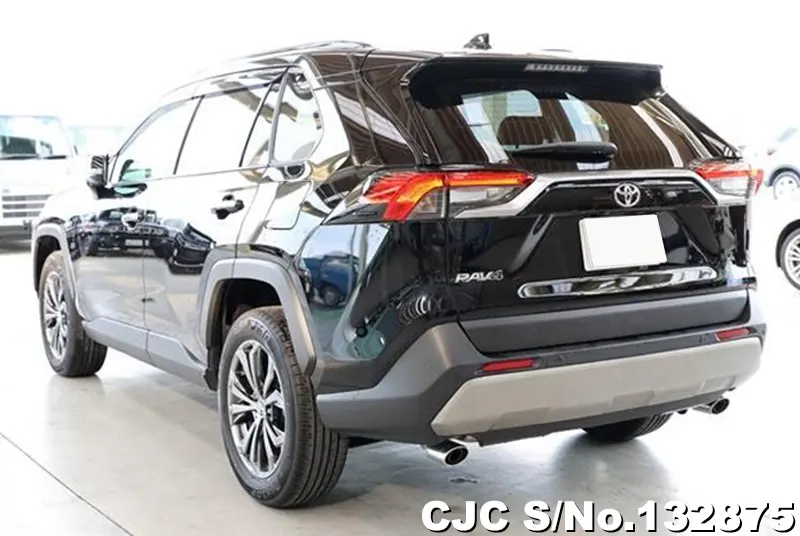 2025 Toyota / Rav4 Stock No. 132875