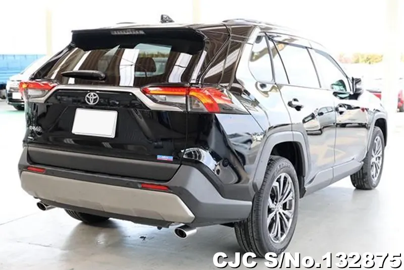 2025 Toyota / Rav4 Stock No. 132875