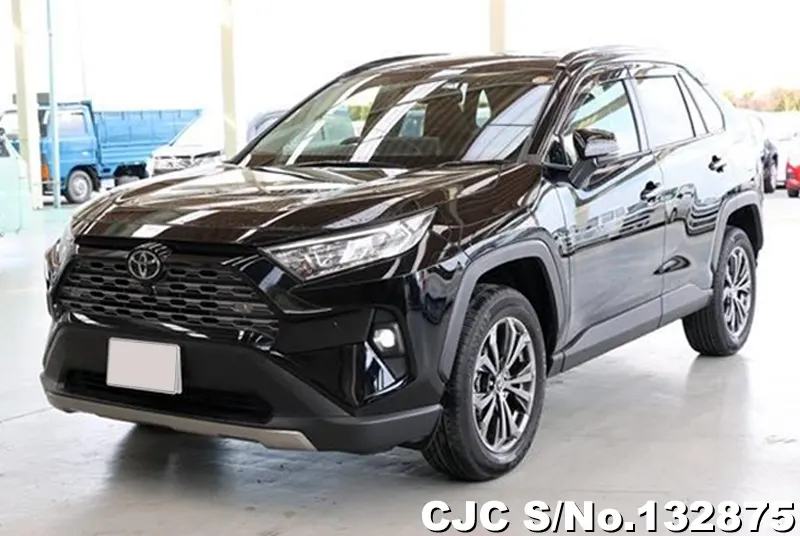 2025 Toyota / Rav4 Stock No. 132875