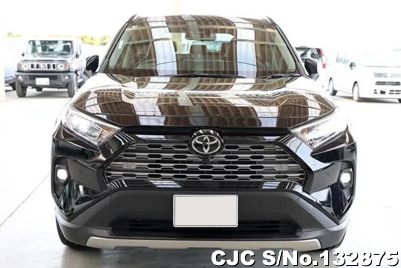 2025 Toyota / Rav4 Stock No. 132875