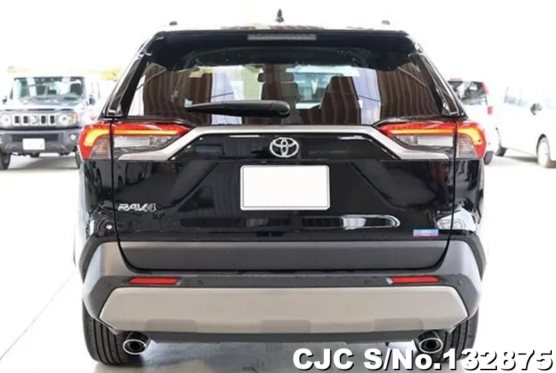 2025 Toyota / Rav4 Stock No. 132875
