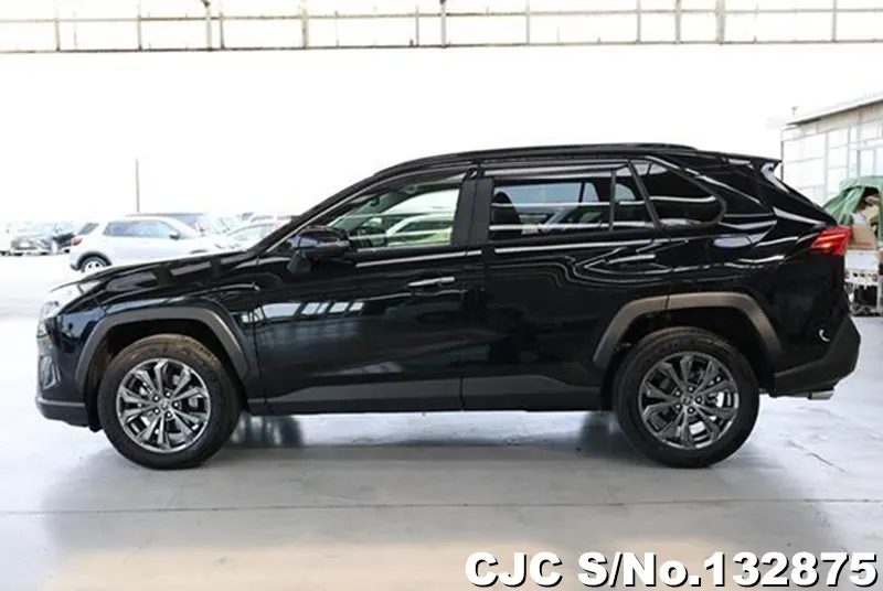 2025 Toyota / Rav4 Stock No. 132875