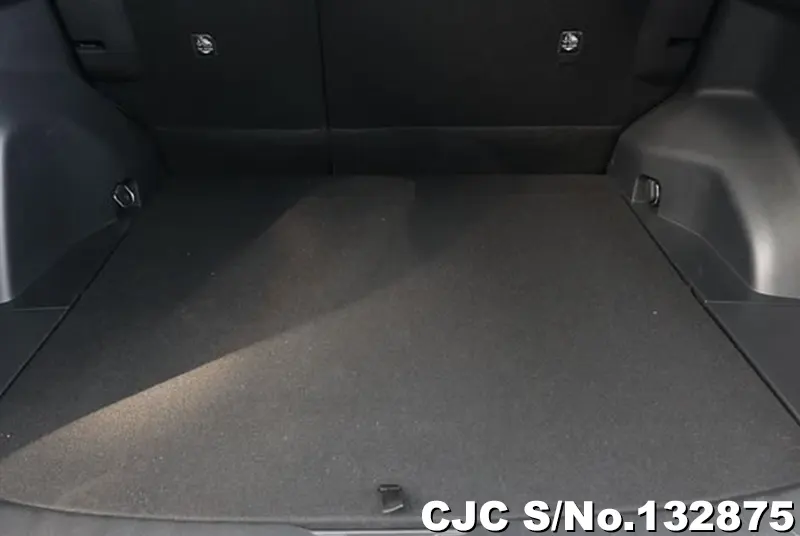 2025 Toyota / Rav4 Stock No. 132875