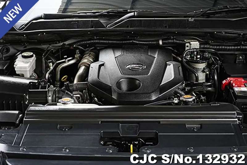 2023 Nissan / Navara Stock No. 132932