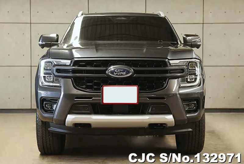 2024 Ford / Everest Stock No. 132971