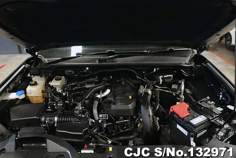 2024 Ford / Everest Stock No. 132971