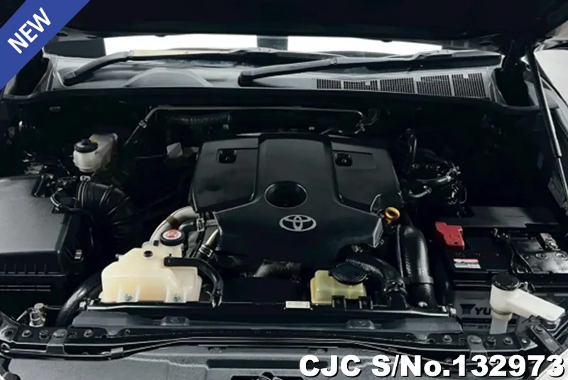 2020 Toyota / Hilux / Revo Rocco Stock No. 132973