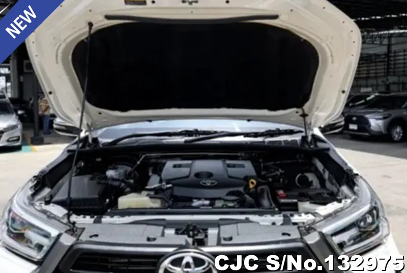 2020 Toyota / Hilux / Revo Stock No. 132975