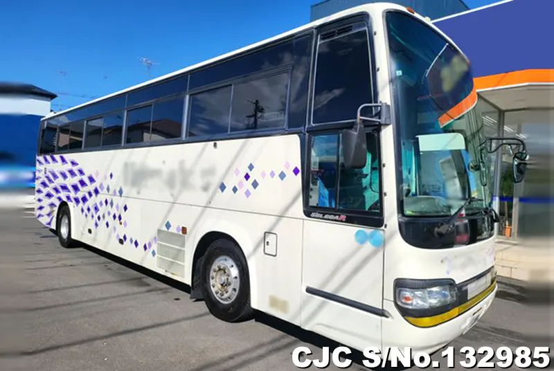 2004 Hino / Selega Stock No. 132985