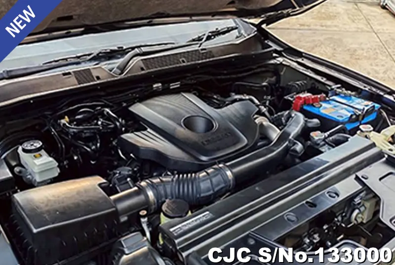 2019 Nissan / Navara Stock No. 133000