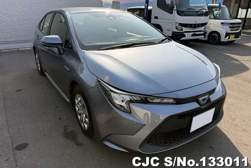 2020 Toyota / Corolla Stock No. 133011