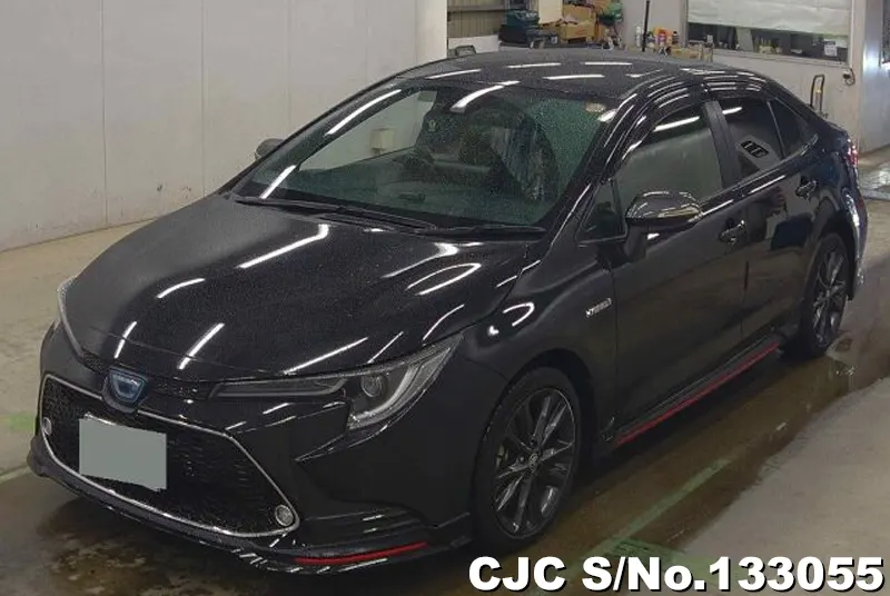 2020 Toyota / Corolla Stock No. 133055